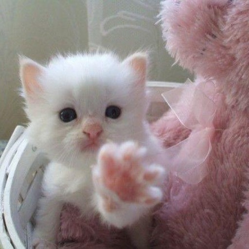 Avatar photo