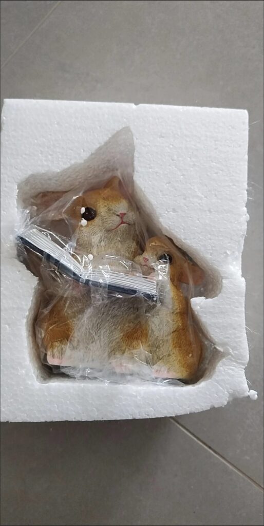 Image #1 from Elsie Montgomery