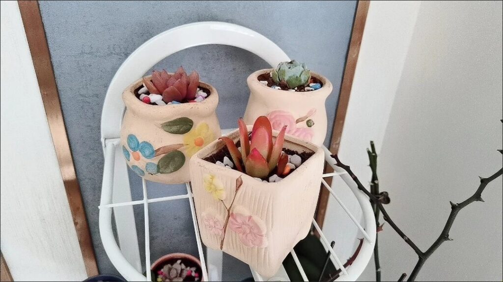 Image #2 from Caitlin Wood