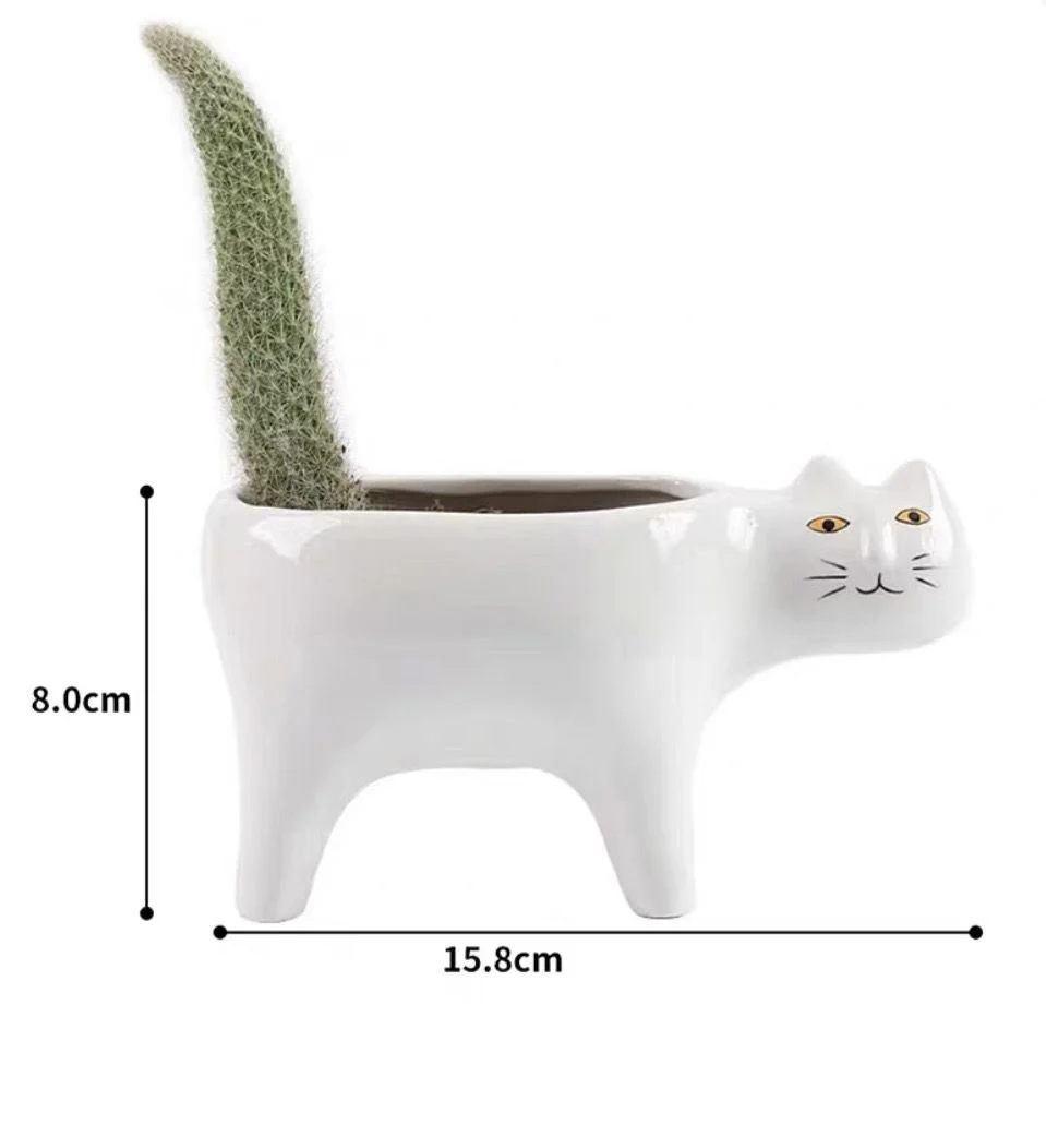 cute ceramic cat planter for succulents