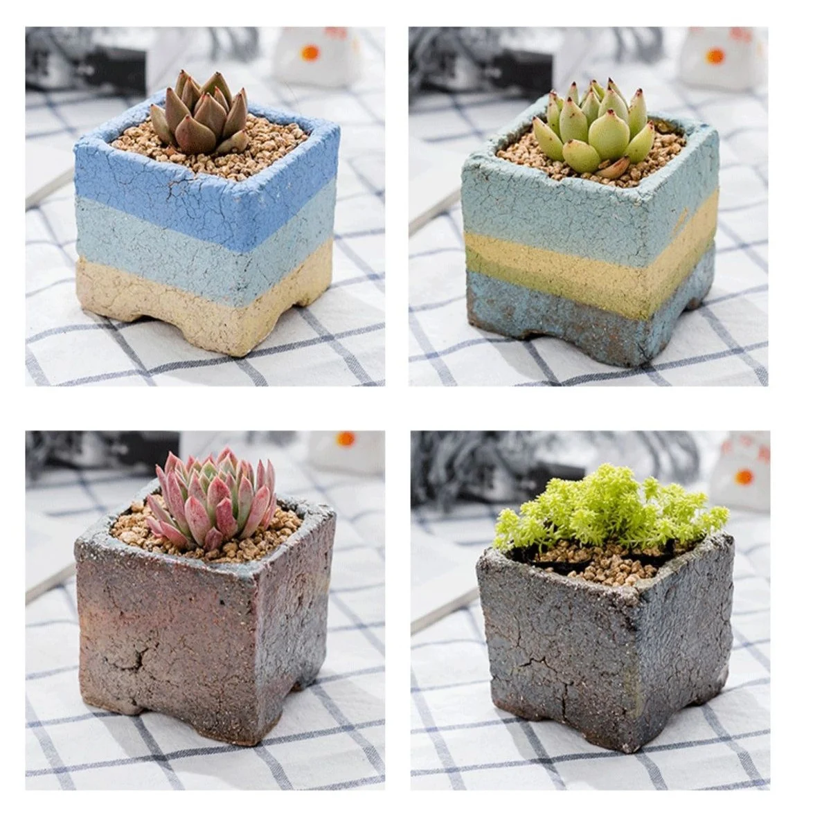 gradient square ceramic succulent planter