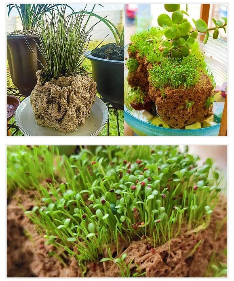 natural porous stone planter hand carved bonsai pot