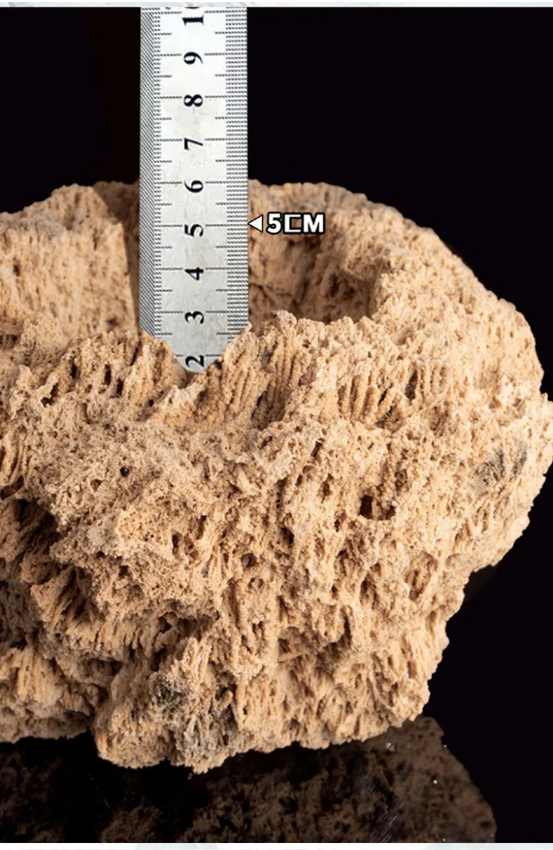 natural porous stone planter hand carved bonsai pot