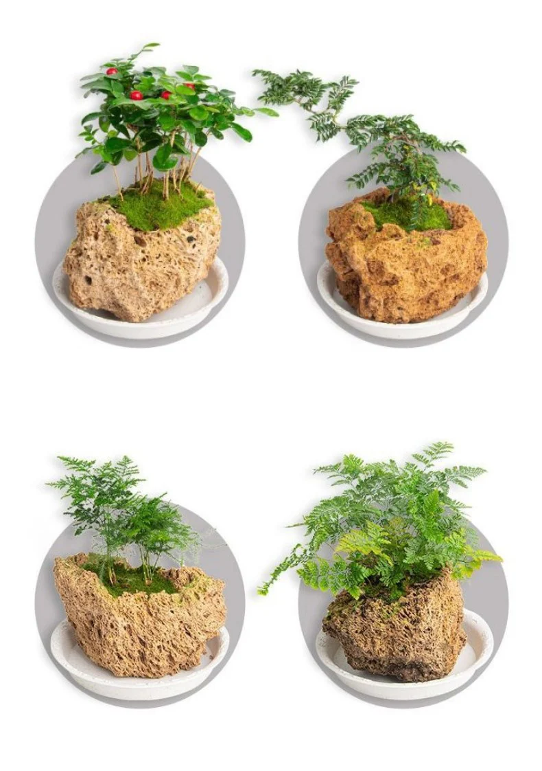 natural porous stone planter hand carved bonsai pot