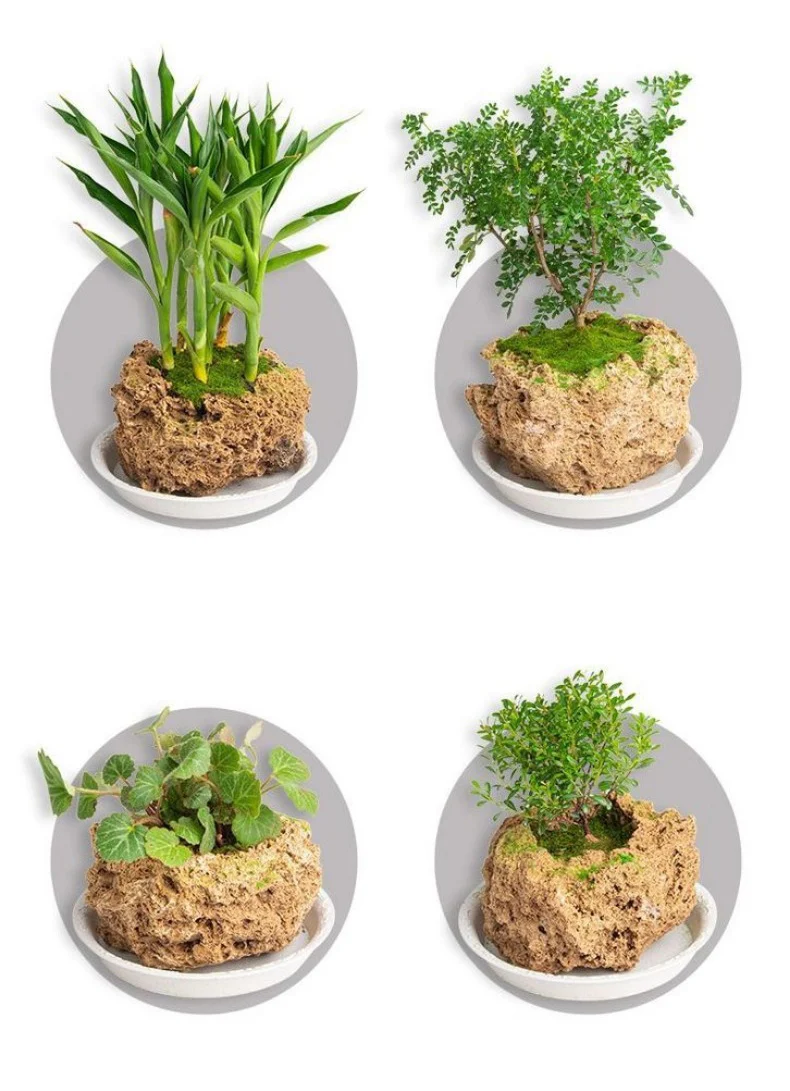natural porous stone planter hand carved bonsai pot