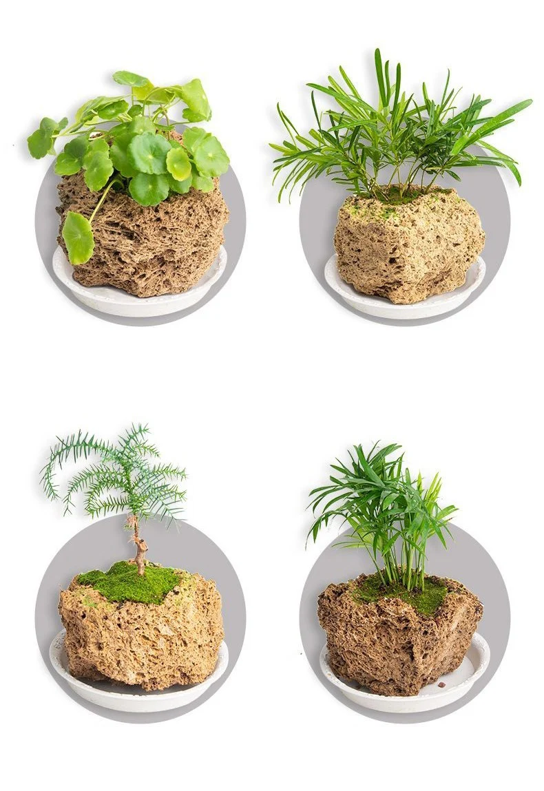 natural porous stone planter hand carved bonsai pot