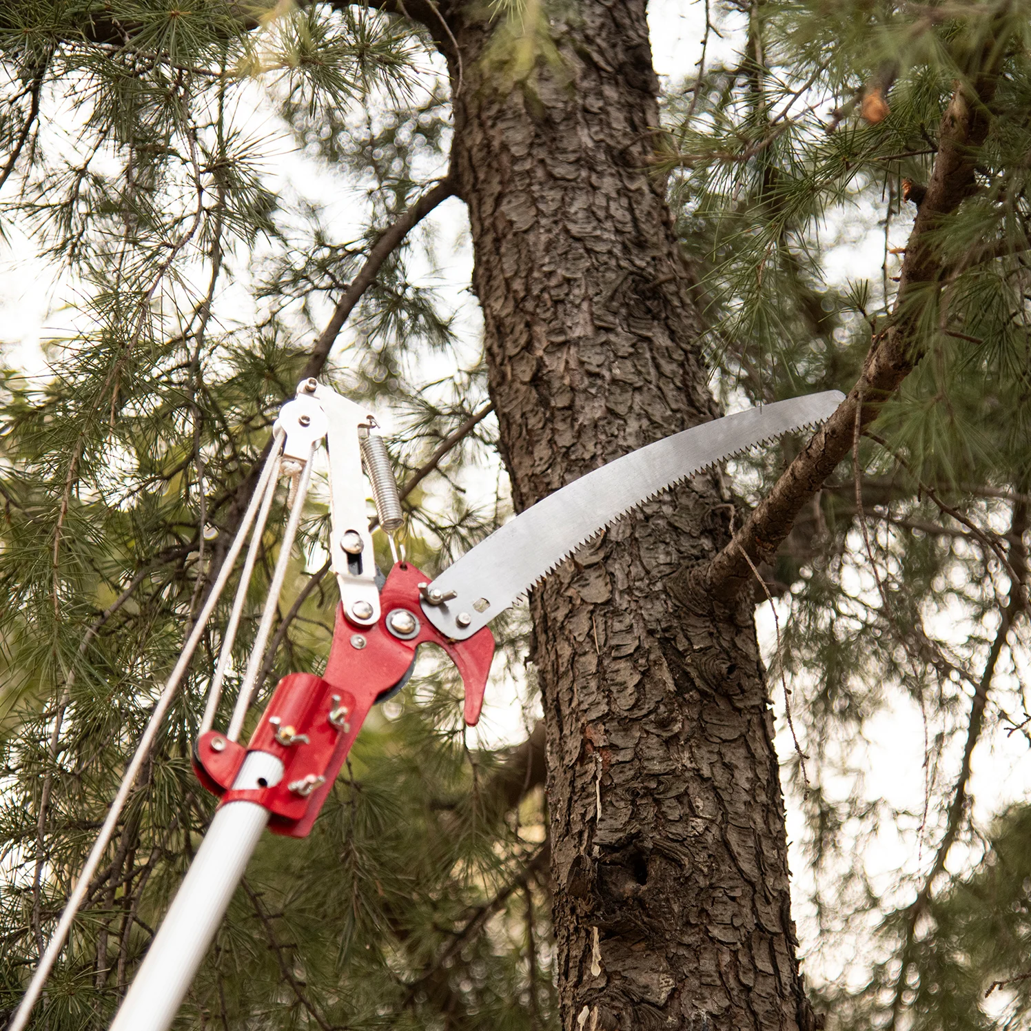 high altitude pole pruner with saw blade and pulley