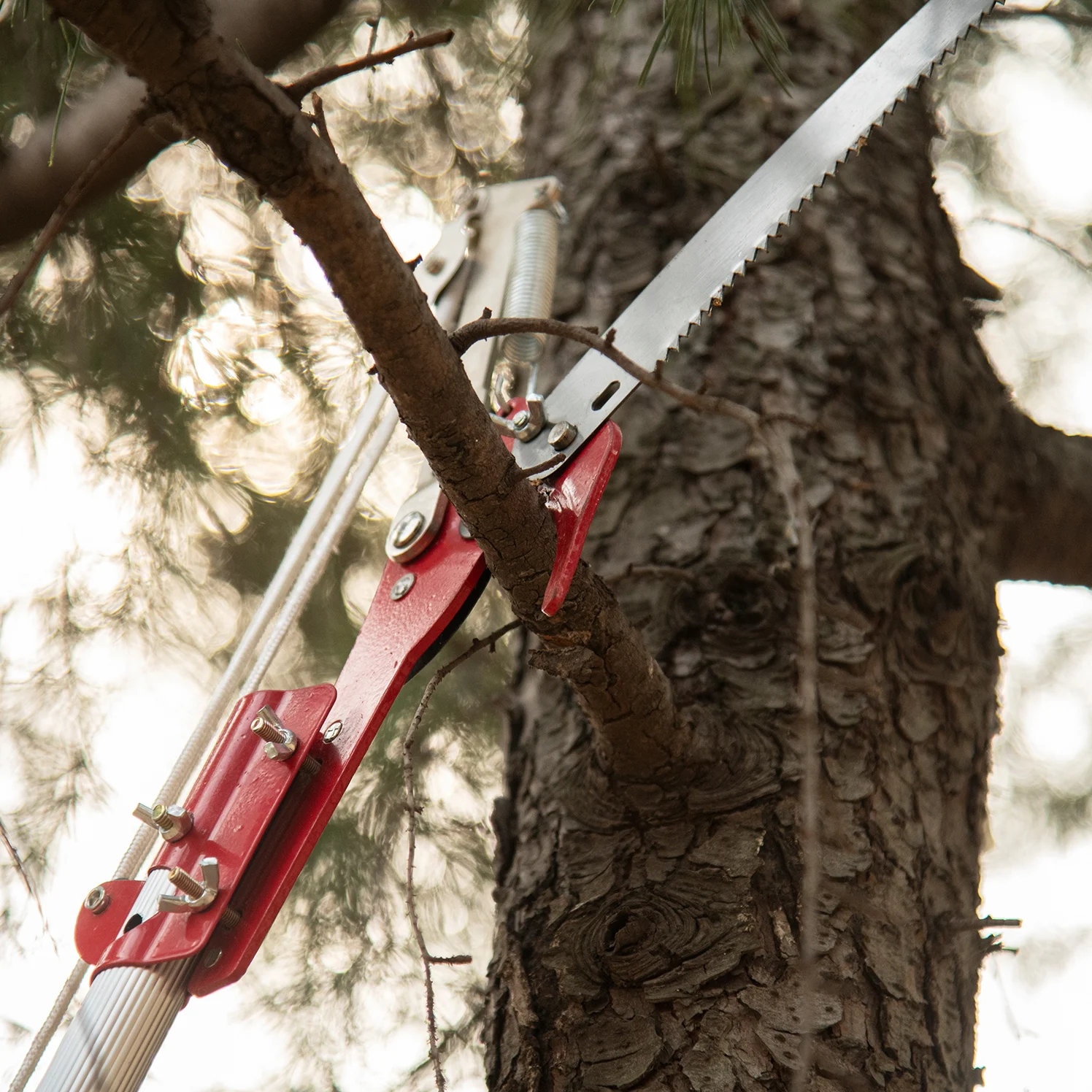 high altitude pole pruner with saw blade and pulley