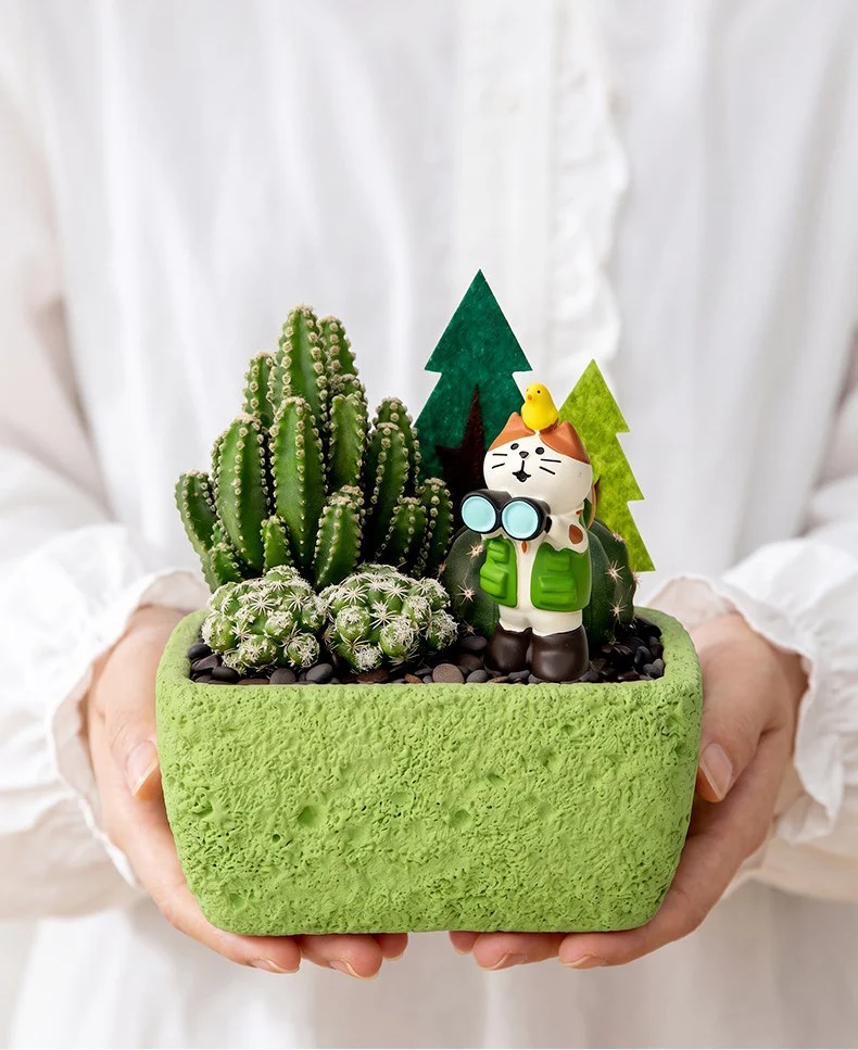 textured cement succulent planter for desktop mini garden