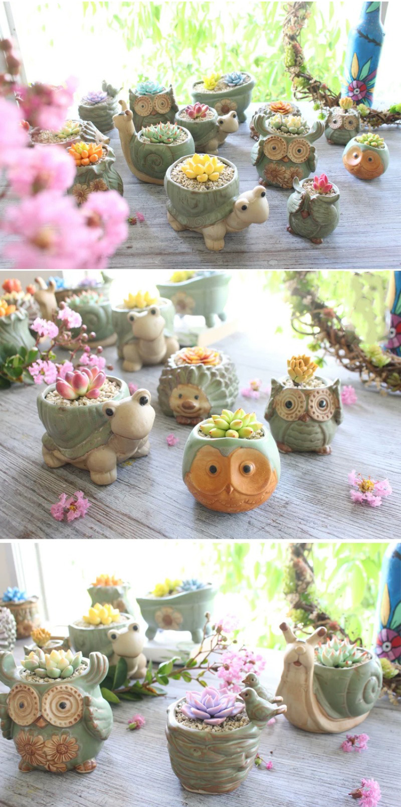 cute animal ceramic succulent planters: vintage owl & turtle pots
