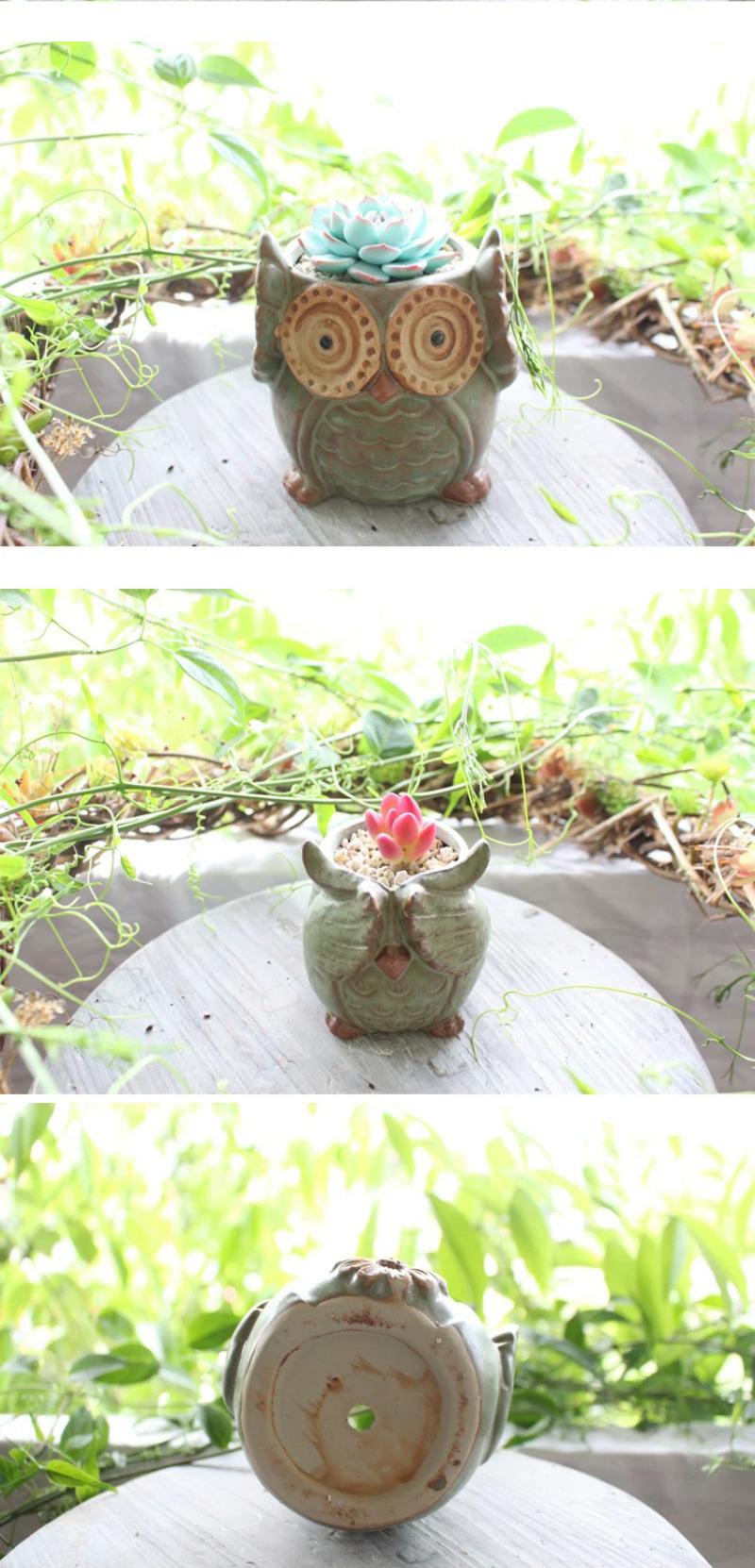 cute animal ceramic succulent planters: vintage owl & turtle pots