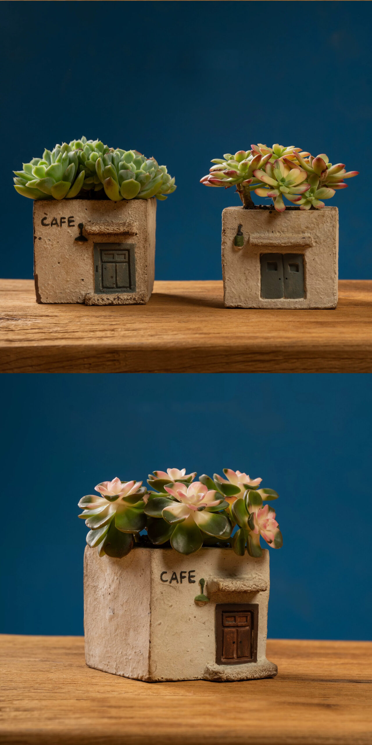 handmade ceramic cafe house succulent planter breathable indoor outdoor pot