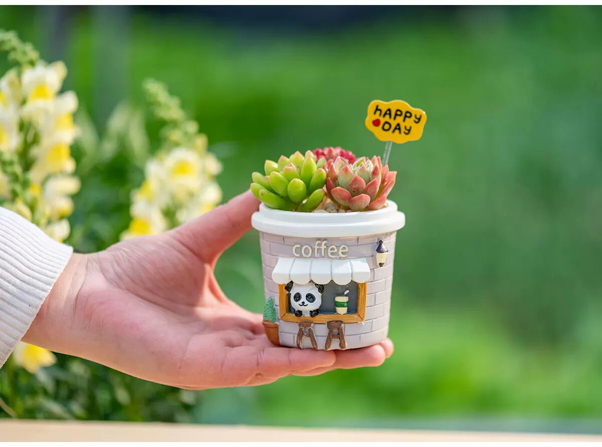 adorable cartoon succulent planters: creative coffee cup desktop decor