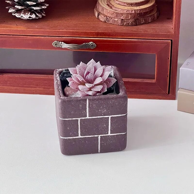 cute cartoon cement succulent planters set for desktop & balcony decor gifts