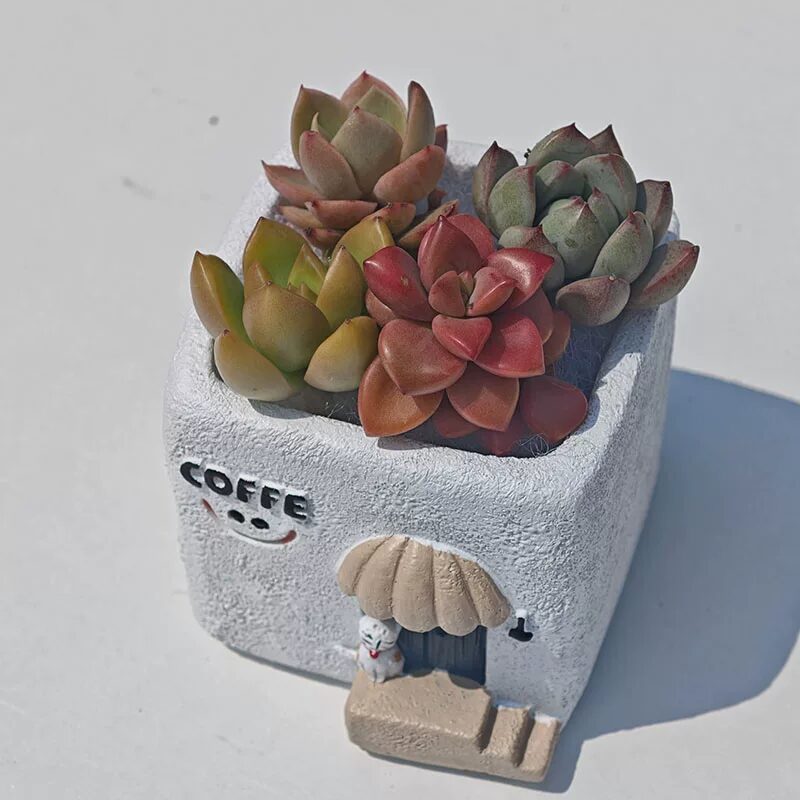 cute creative smile face house succulent planters for desktop decor