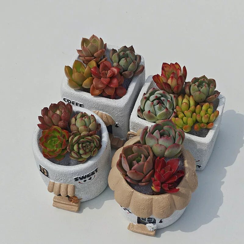 cute creative smile face house succulent planters for desktop decor