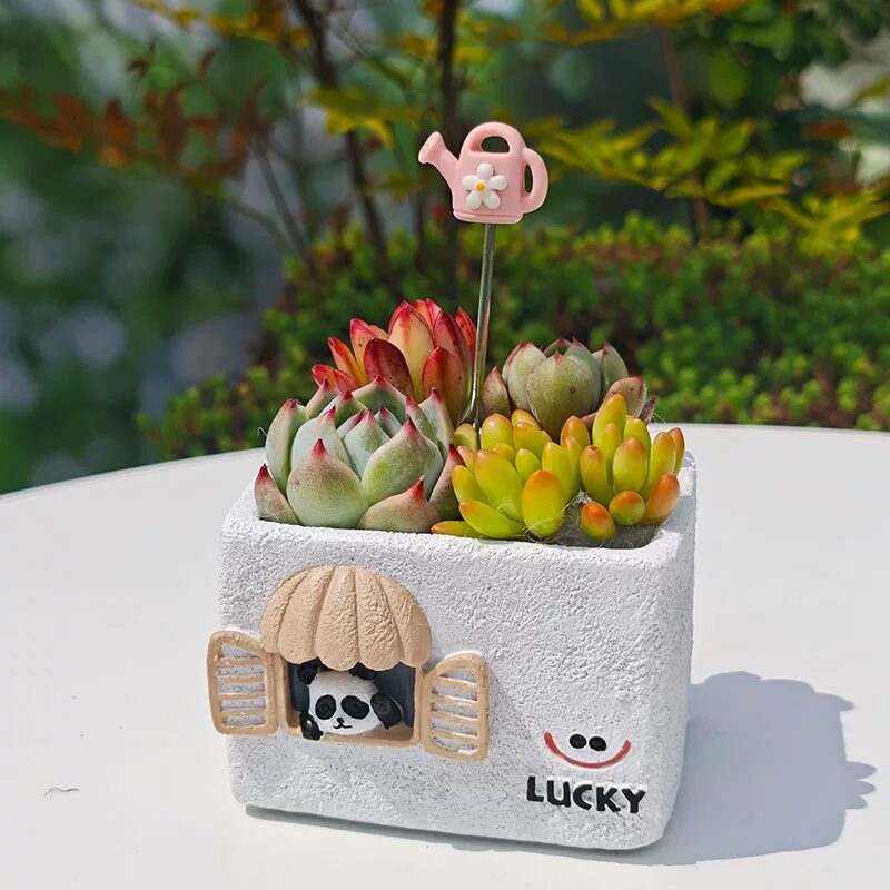 cute creative smile face house succulent planters for desktop decor
