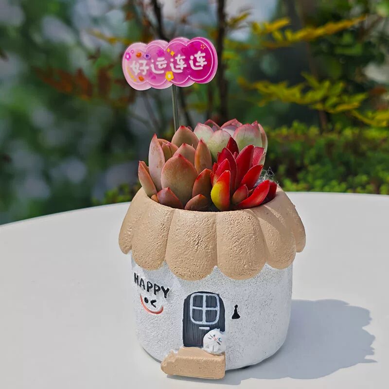 cute creative smile face house succulent planters for desktop decor