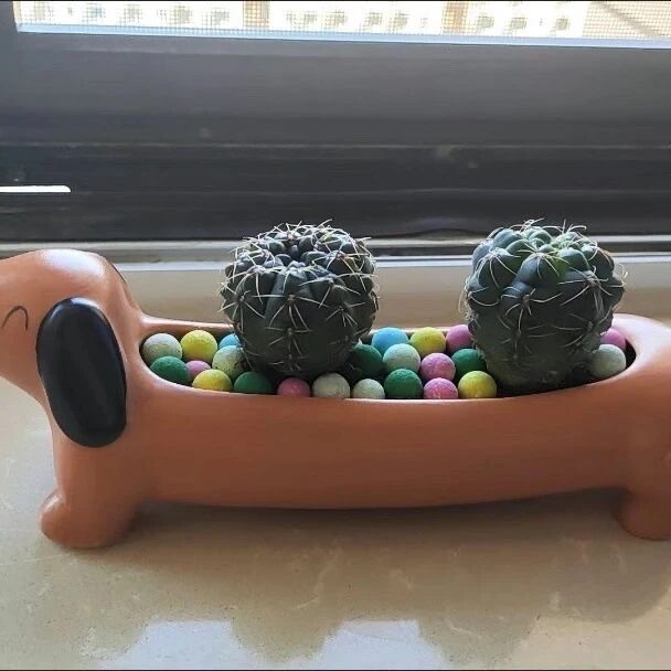 adorable dachshund dog succulent planter | cute animal pot decor