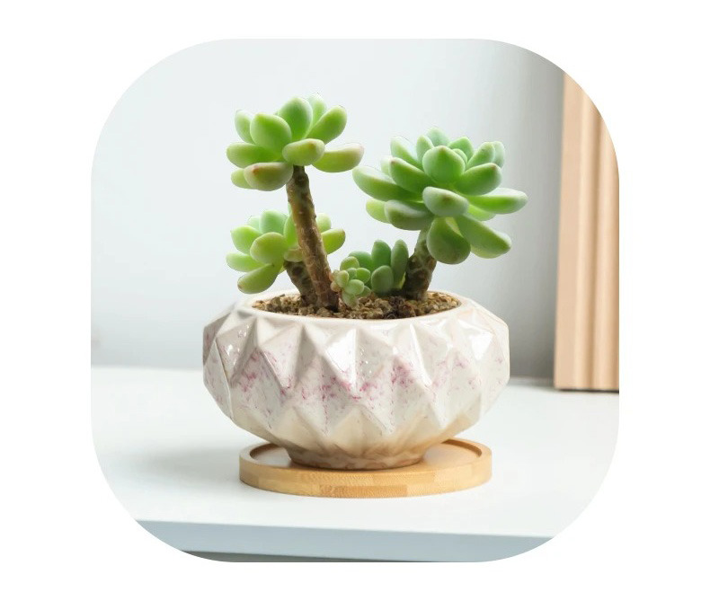 cute korean pink ceramic succulent pots breathable planters for home decor