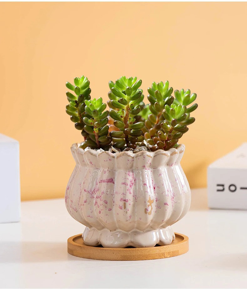cute korean pink ceramic succulent pots breathable planters for home decor
