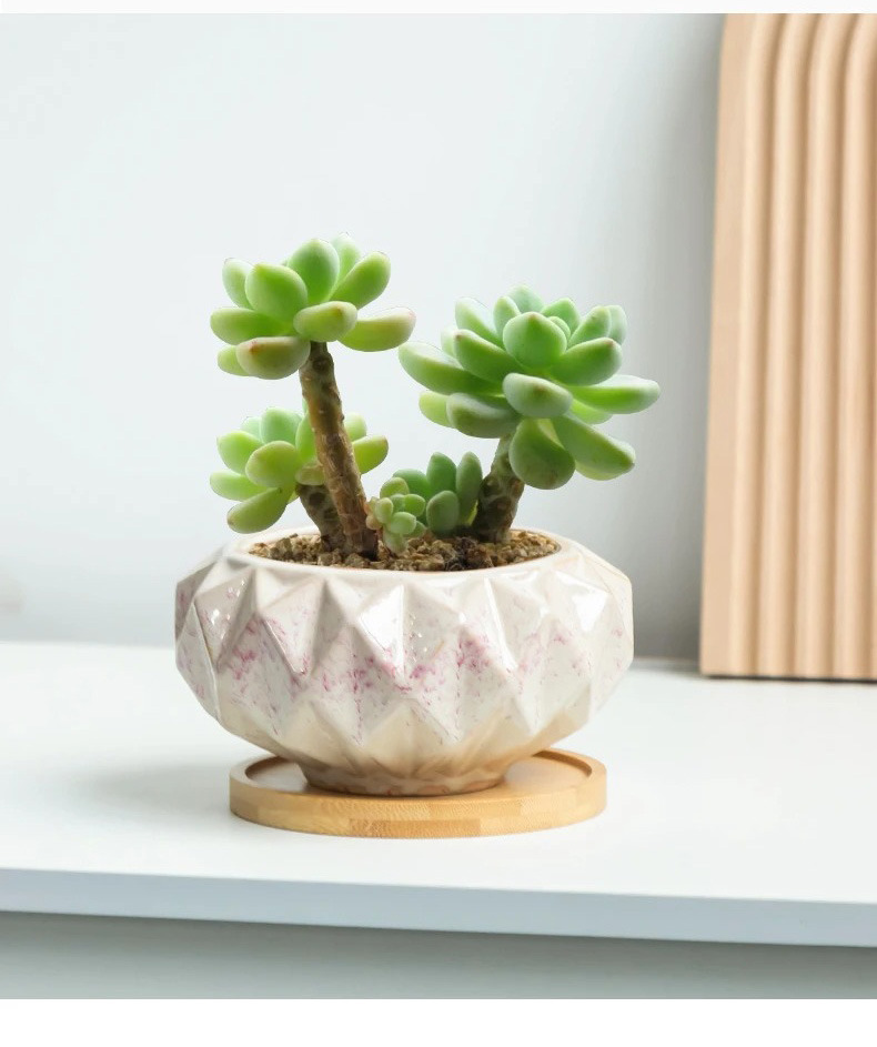 cute korean pink ceramic succulent pots breathable planters for home decor