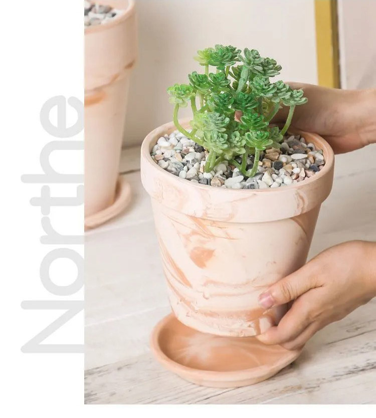 stylish macchiato terracotta succulent planter breathable clay pot for office