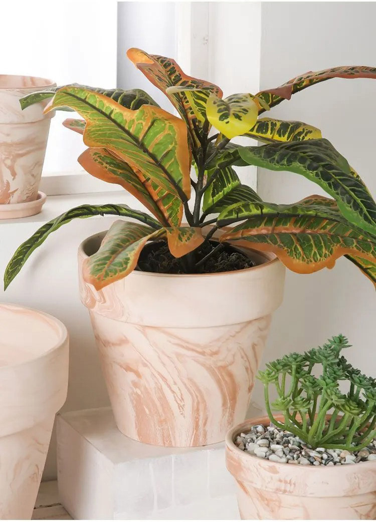 stylish macchiato terracotta succulent planter breathable clay pot for office