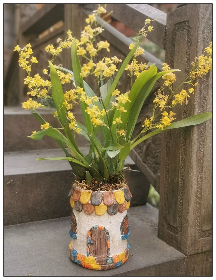whimsical resin fairy house succulent planter for outdoor garden patio decor