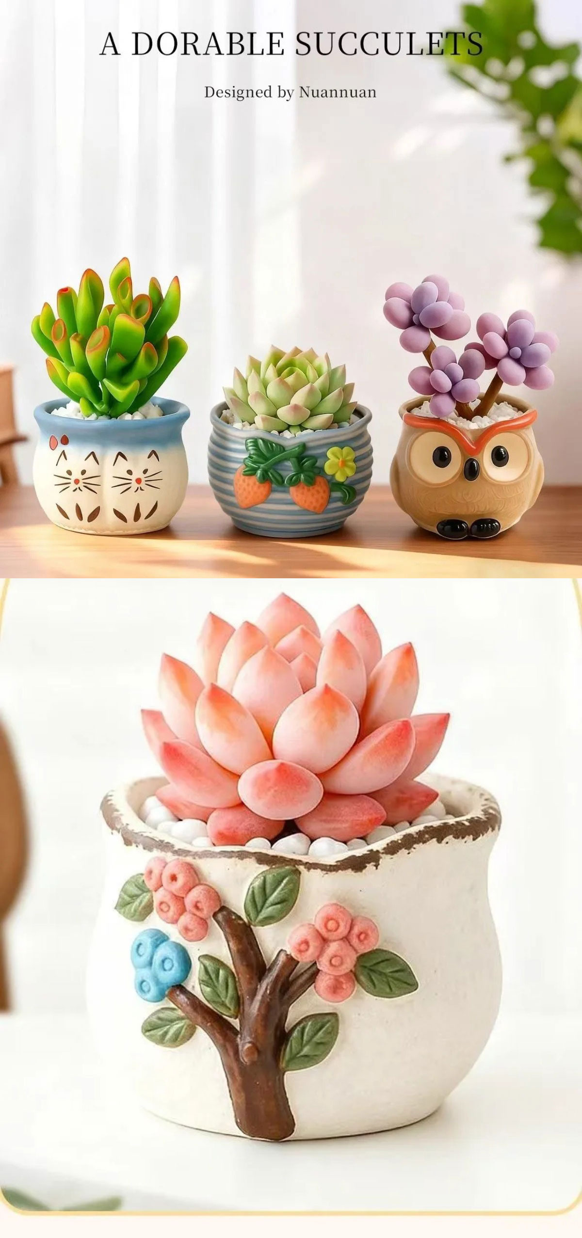 easy care succulent plants in decorative ceramic pots for indoor decor