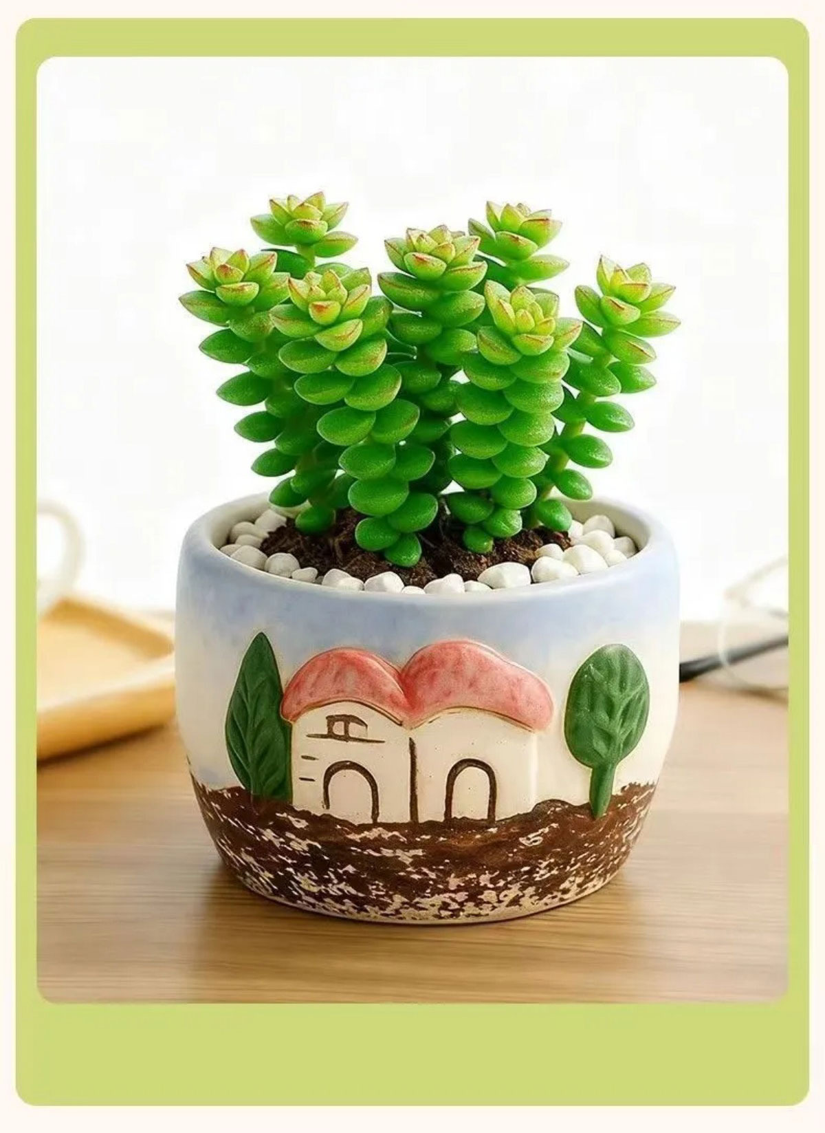 easy care succulent plants in decorative ceramic pots for indoor decor