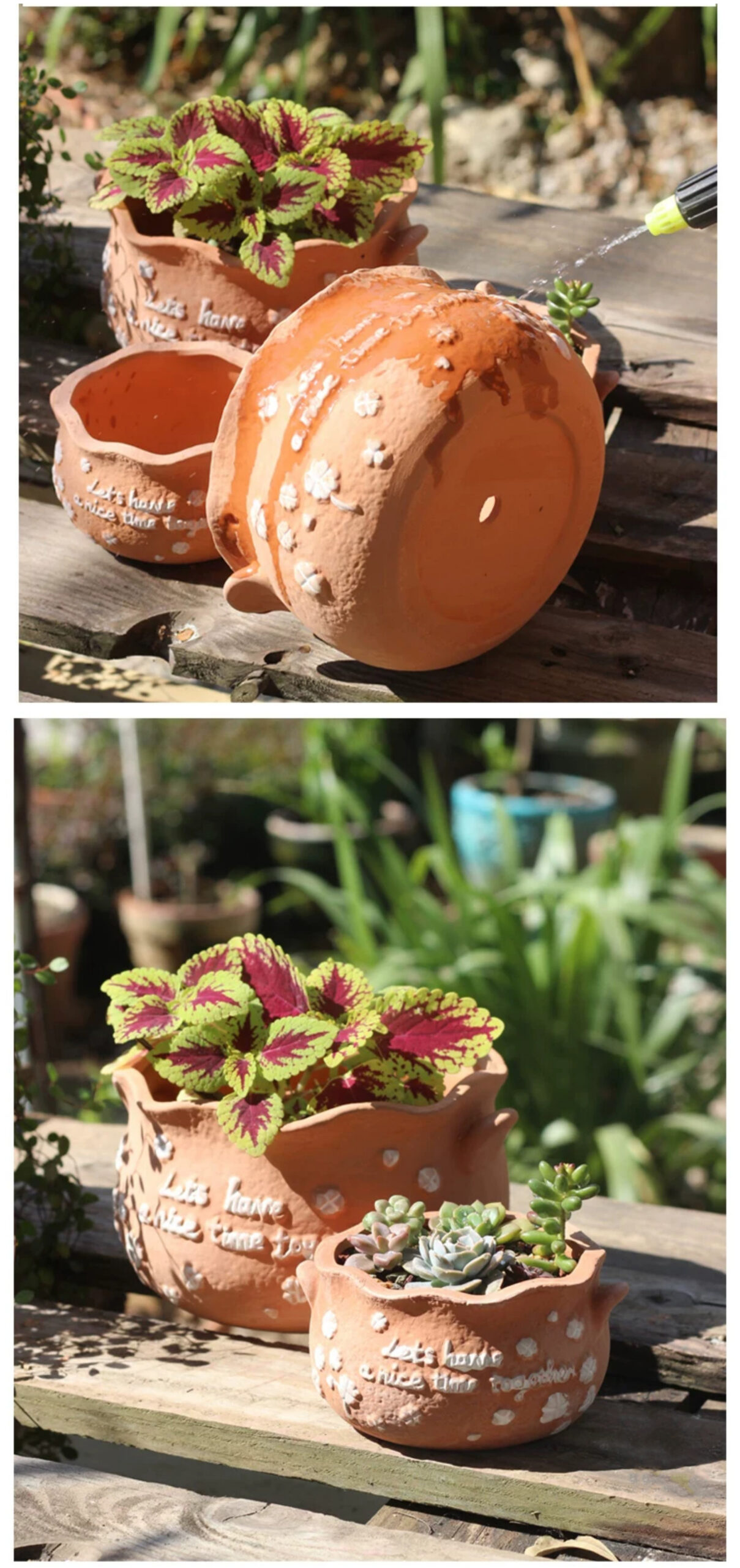 rustic embossed terracotta succulent pots for breathable outdoor planters