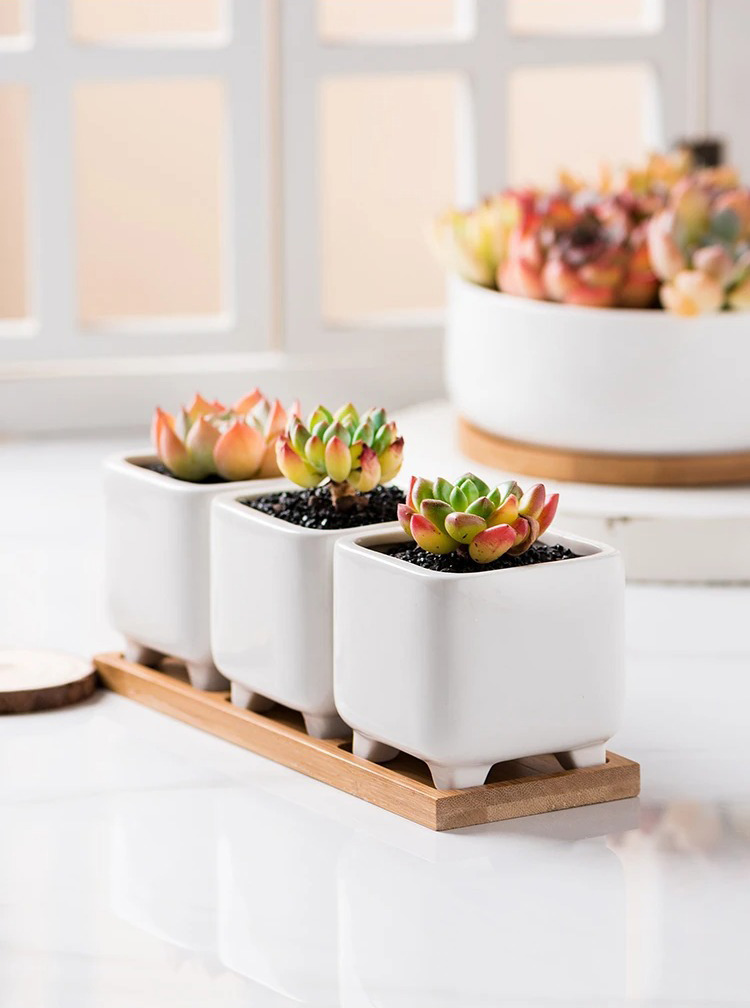 modern white ceramic succulent planters with bamboo tray nordic style