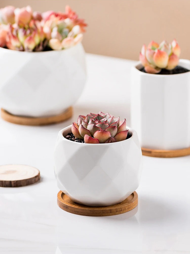 modern white ceramic succulent planters with bamboo tray nordic style