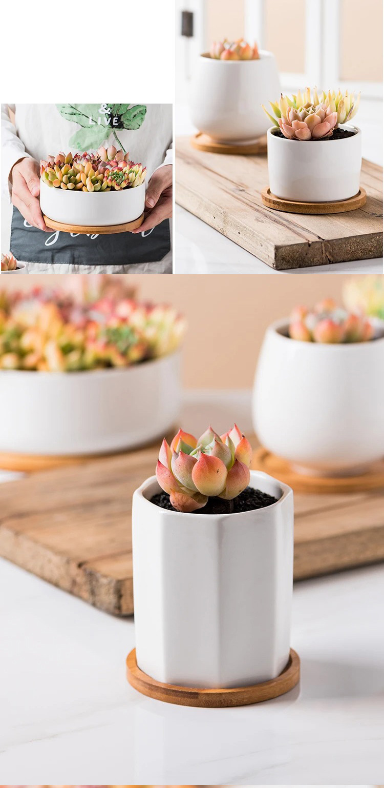 modern white ceramic succulent planters with bamboo tray nordic style