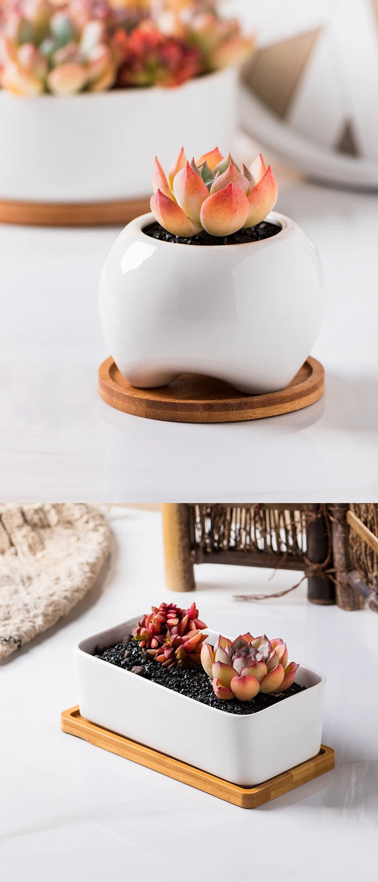 modern white ceramic succulent planters with bamboo tray nordic style