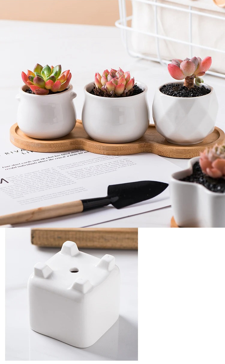 modern white ceramic succulent planters with bamboo tray nordic style