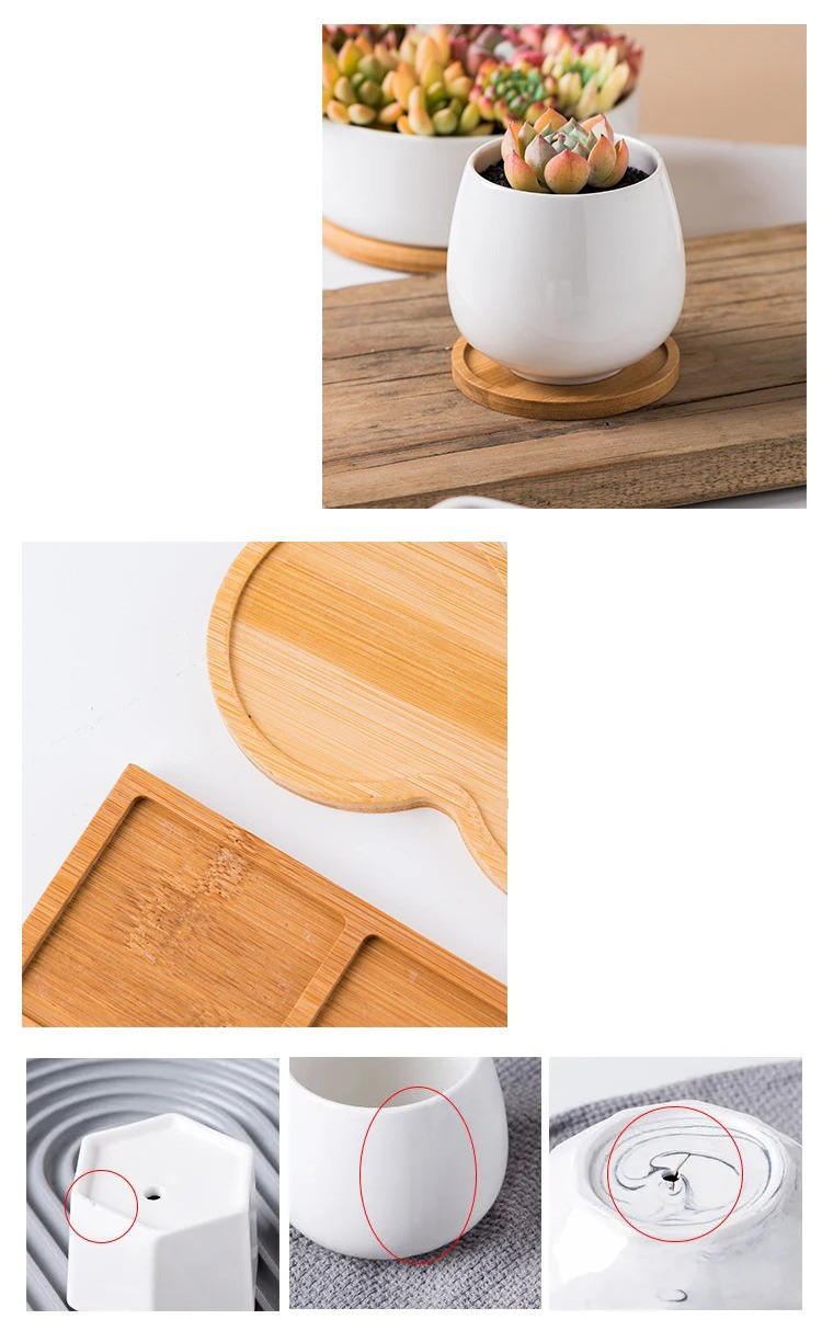 modern white ceramic succulent planters with bamboo tray nordic style