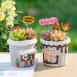 Cartoon Succulent Planters Coffee Cup Desktop Decor