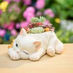 Cartoon Cat Succulent Planter Pot for Desk and Garden Decor