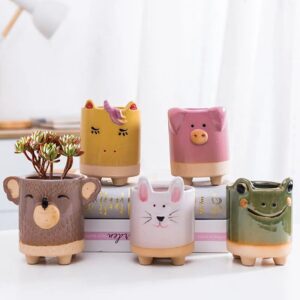 cute ceramic cartoon animal succulent planters | decorative mini plant pots set
