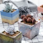 Gradient Square Ceramic Succulent Planter