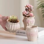 Korean Pink Ceramic Succulent Pots - Breathable Planters