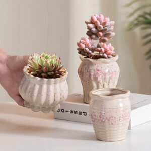 cute korean pink ceramic succulent pots breathable planters for home decor