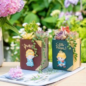 charming little prince princess book succulent planter & pen holder
