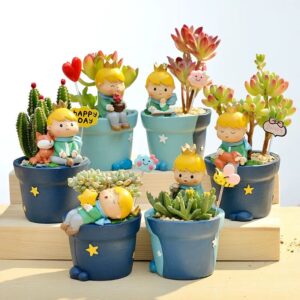 creative little prince succulent planters cute cartoon resin pots decor