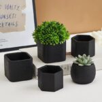 Modern Nordic Minimalist Succulent Pots Set - Small