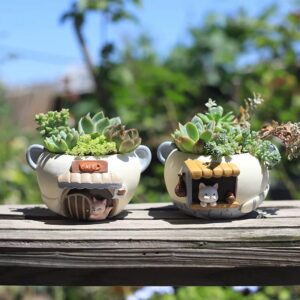 cute resin succulent planters with animal house design for home decor