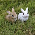Lifelike Resin Rabbit Figurines Garden Yard Balcony Decor