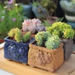 Rustic Embossed Ceramic Succulent Planter with Feet